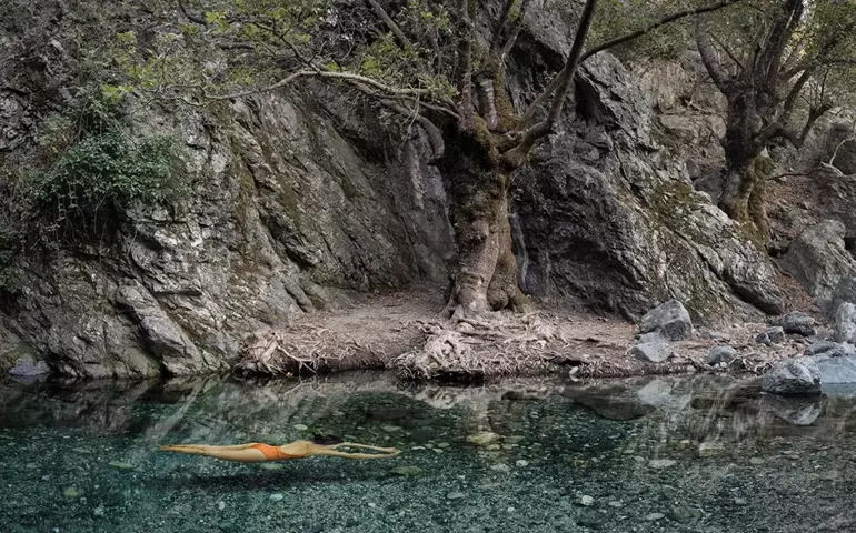 Читак
